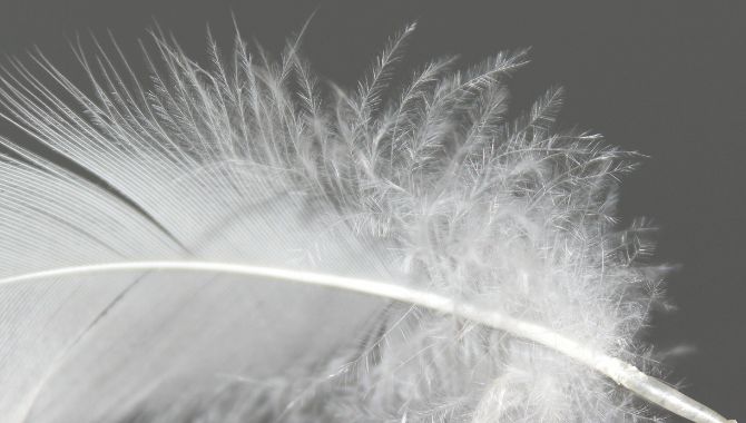 Volume Eyelash Extensions （Very Soft ）