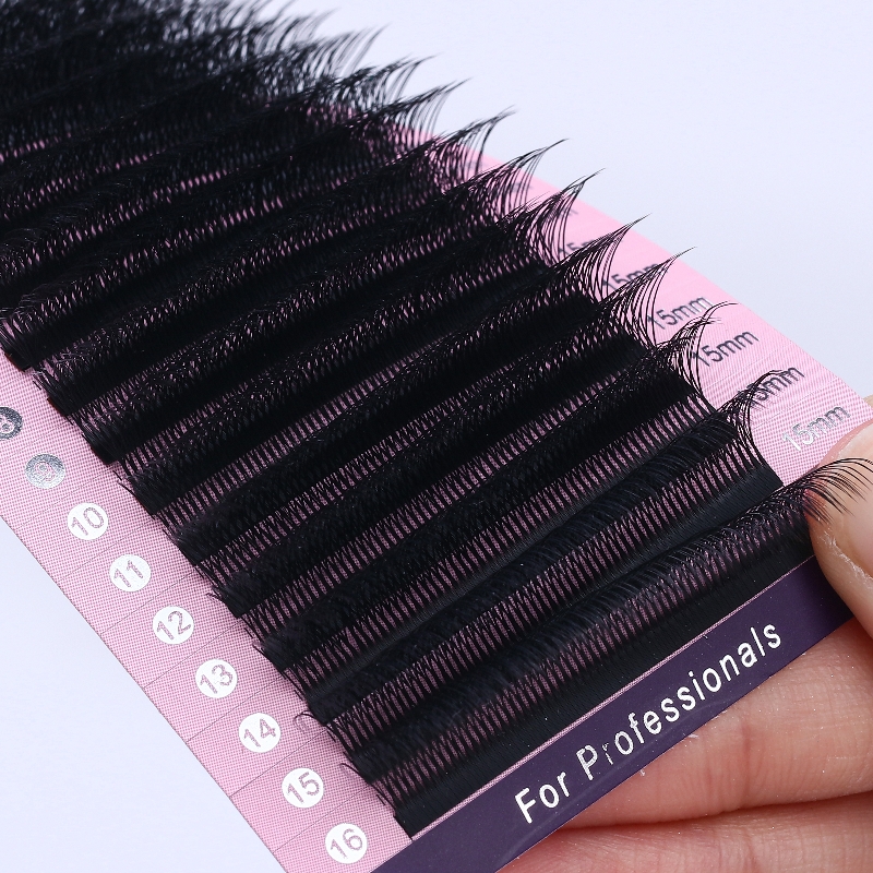 W-8P lashes