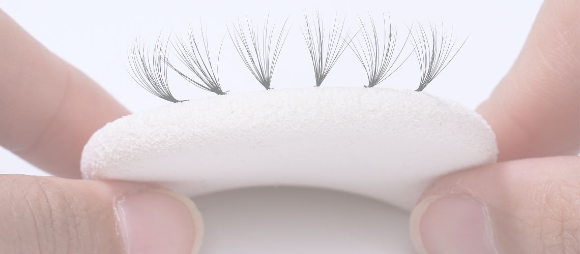 Camellia easy fan Lash