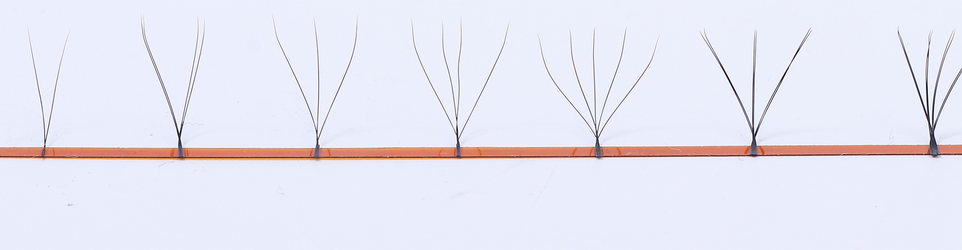 W lash extensions banner