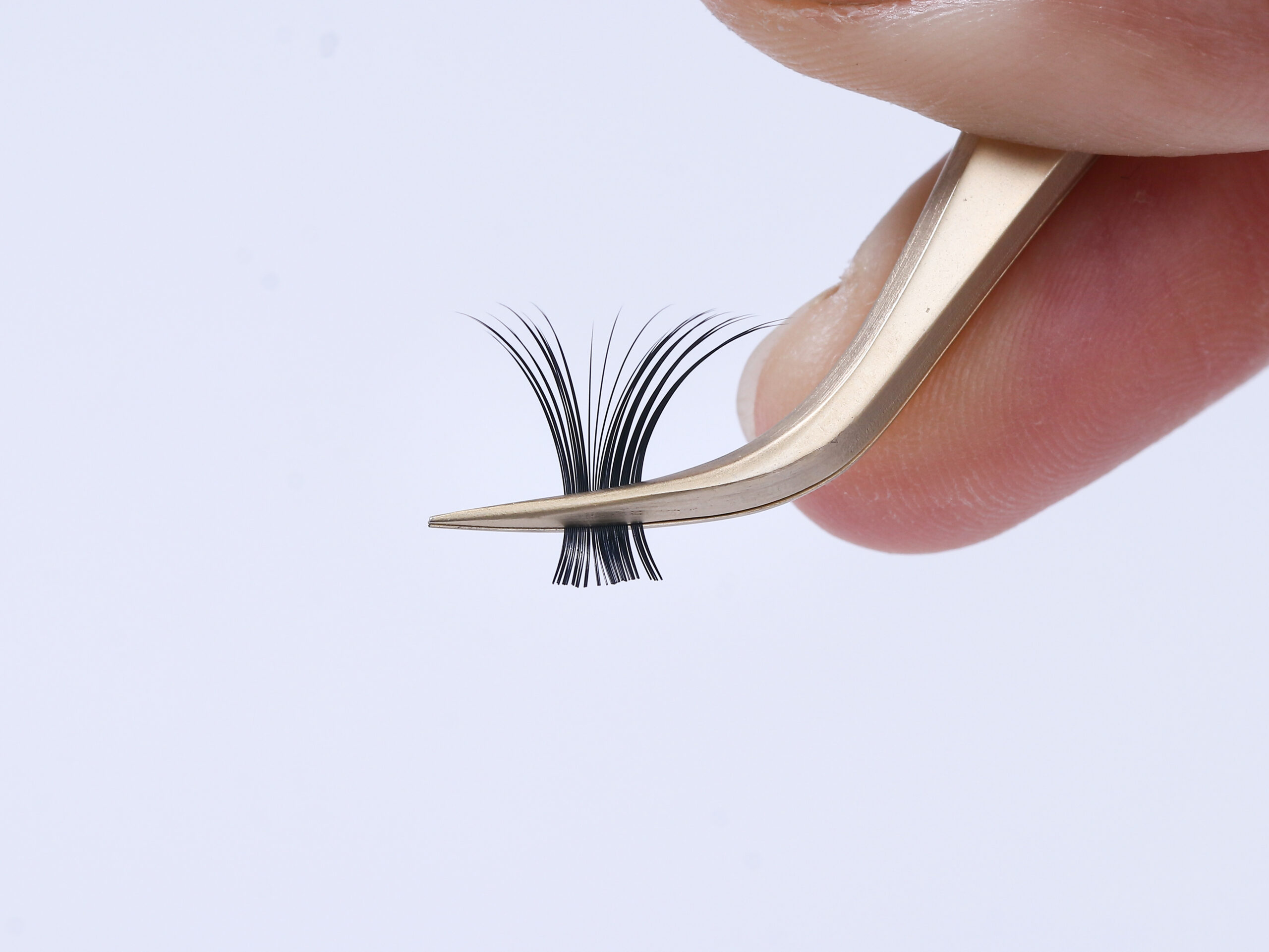 Camellia eyelash extensions easy fan