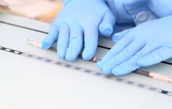 The Curly Can Keep 2-3 Years