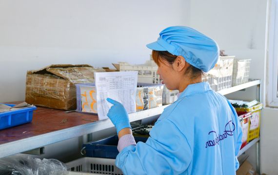 Why Choose Customize Our Series W Lashes