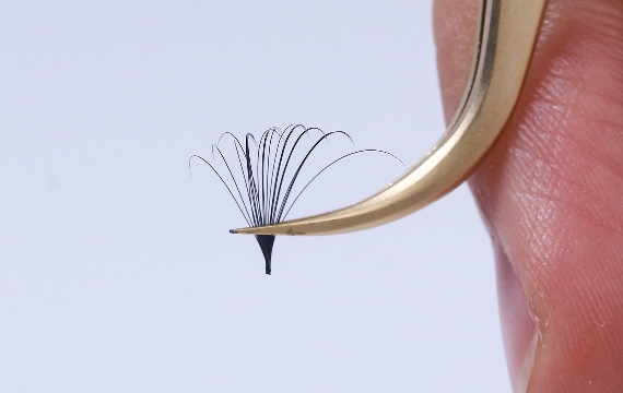 After Make Fan, The Roots Are Thin