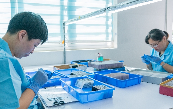 Cost-Effective Classic Lash Extensions